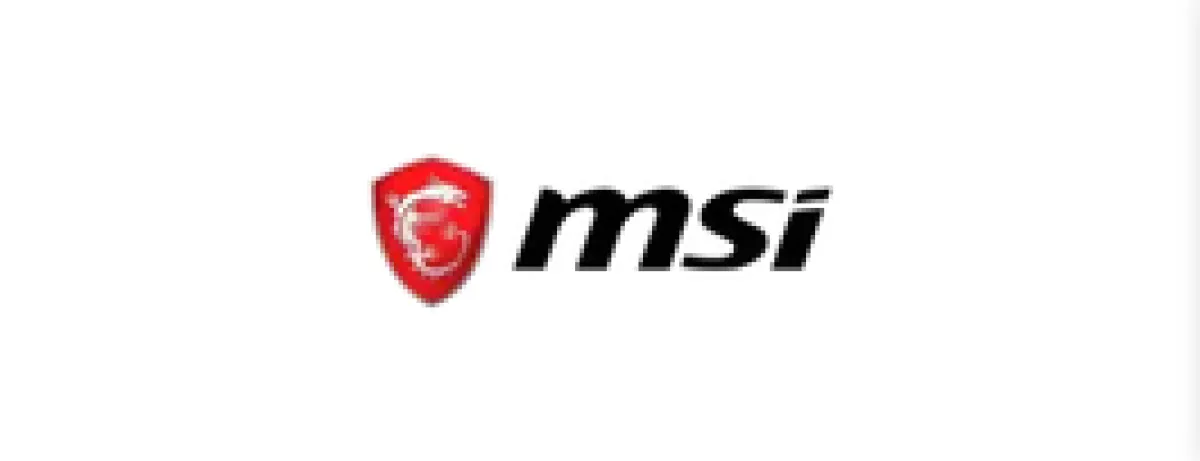 MSI